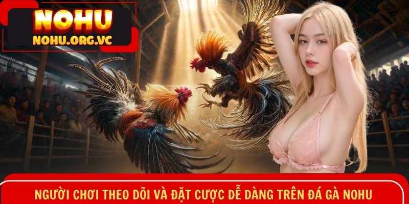 Người chơi theo dõi và đặt cược dễ dàng trên đá gà NOHU