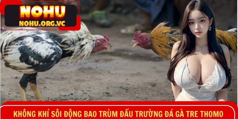 Không khí sôi động bao trùm đấu trường đá gà tre Thomo
